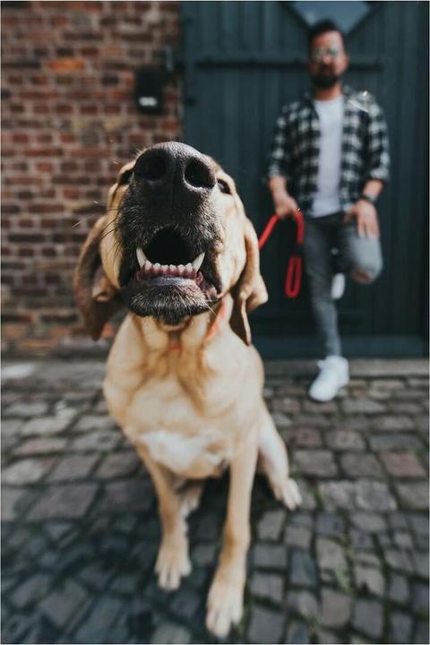 Actual product image Hunter Freestyle leash (110, Dog, General)