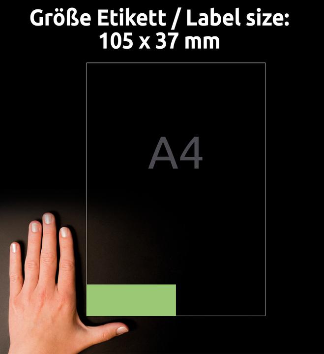 Actual product image Avery Farbige labels