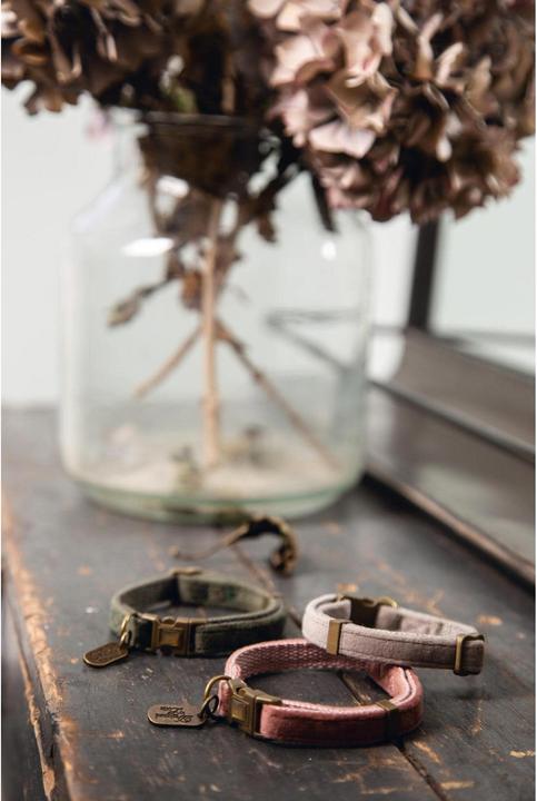 Productafbeelding Designed by Lotte Kattenhalsband Velura (30, Kat, Loop)