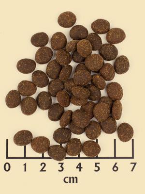 Produktbild Wildcat Adult Rani (Adult, 1 Stk., 3000 g)