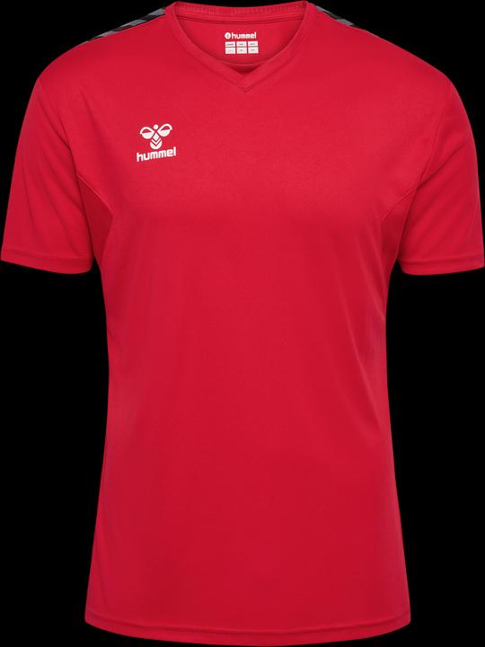 Actual product image hummel Hmlauthentic Pl Jersey S/S (M)