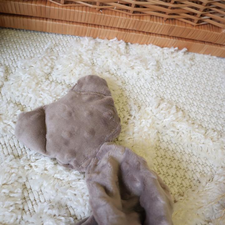 Actual product image Baby-Nest Cuddle cloth |Minky|Cappuccino bear