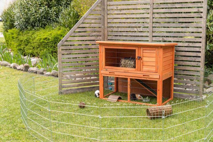 Actual product image Trixie Natura small animal hutch