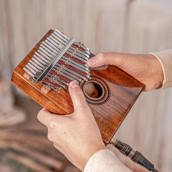 Produktbild Meinl Sonic Energy PKL1707H Kalimba mit Tonabnehmer (Perkussion)