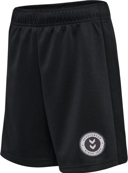 Actual product image hummel hmlODIN SHORTS (164)