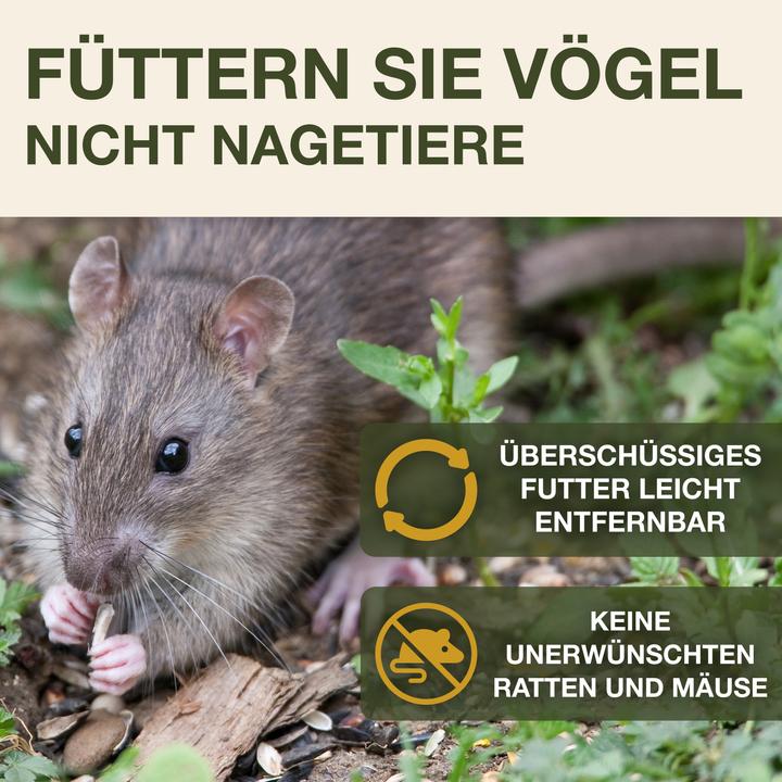 Image du produit Swissinno Vogel-Futtersilo "Lucerne" Smart Birds
