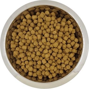 Actual product image Yourdog Dwerg- Of Toypoedel Volwassen (Puppy + kitten, 12150 g)