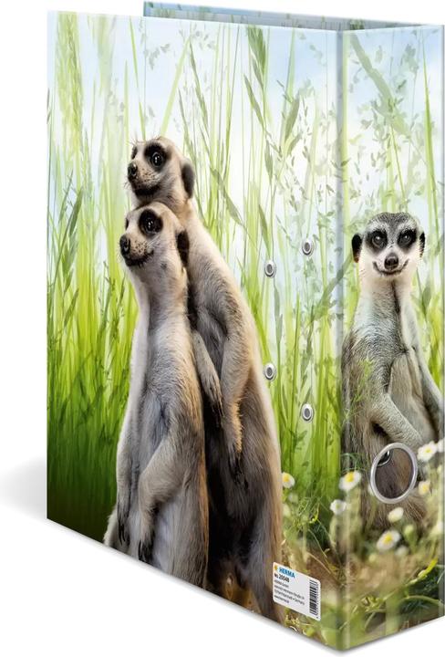 Immagine prodotto Herma Meerkat (A4, 70 mm, 1 Pezzo/i)