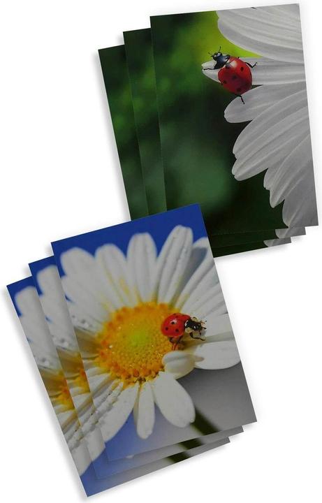 Image du produit ABC Carte à motif fleurs A6, 6 pièces (6 pcs)