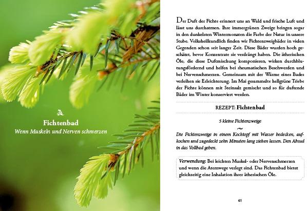 Image du produit Das kleine Buch: Vergessene Hausmittel (Allemand, Karin Buchart, 2024)