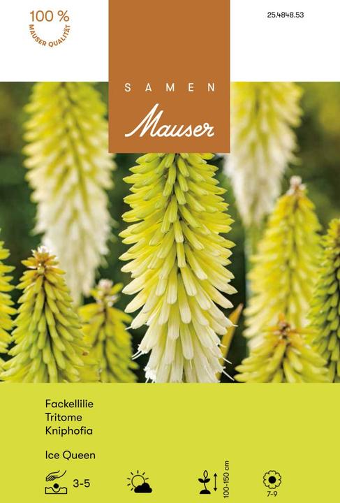 Image du produit Samen Mauser Kniphofia Ice Queen