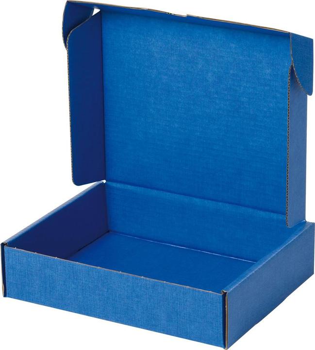Actual product image Wolfgang Warmbier Safeshield shipping box, ESD, 250 x 191 x 64 mm, without PU foam, - (1 x)