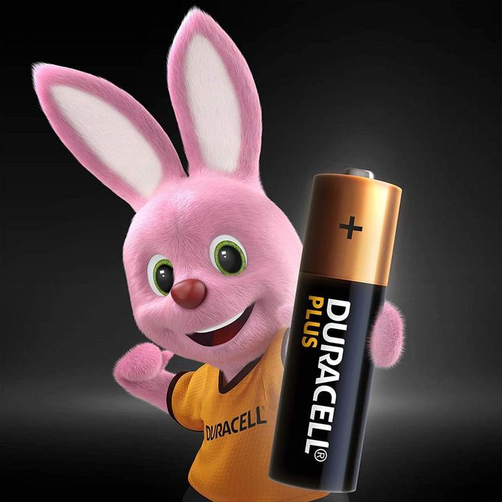Actual product image Duracell Plus Power (12 pcs., AA, 2850 mAh)