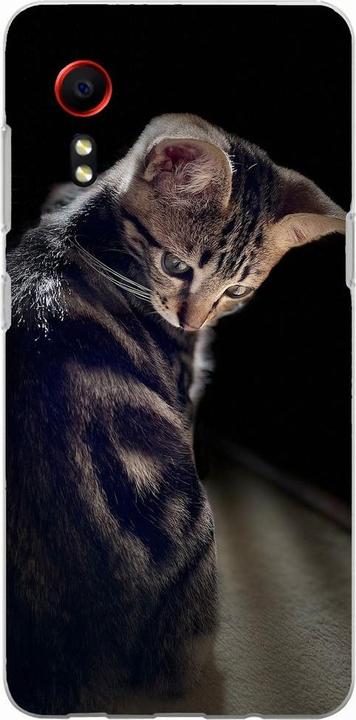 Junge Katze