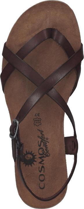 Image du produit Cosmos Comfort Tige d'orteil (39)