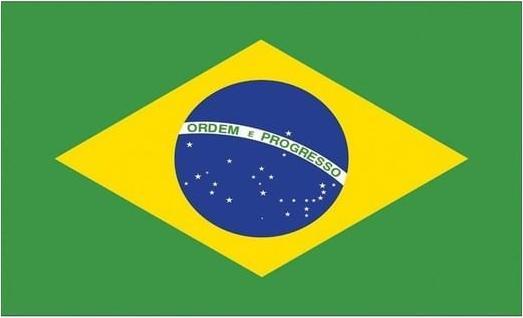 Energy Label Espa Brasilien Fan Flagge 90 x 150cm