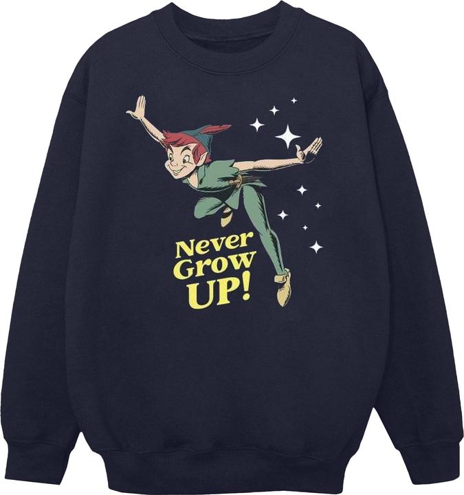 Image du produit Disney - Sweat PETER PAN NEVER GROW UP - Homme (XL)