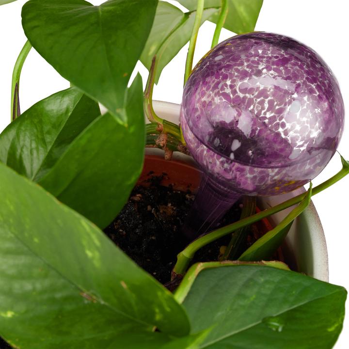 Image du produit Relaxdays Globe d'arrosage lot de 2, couleur (Boules d'arrosage)