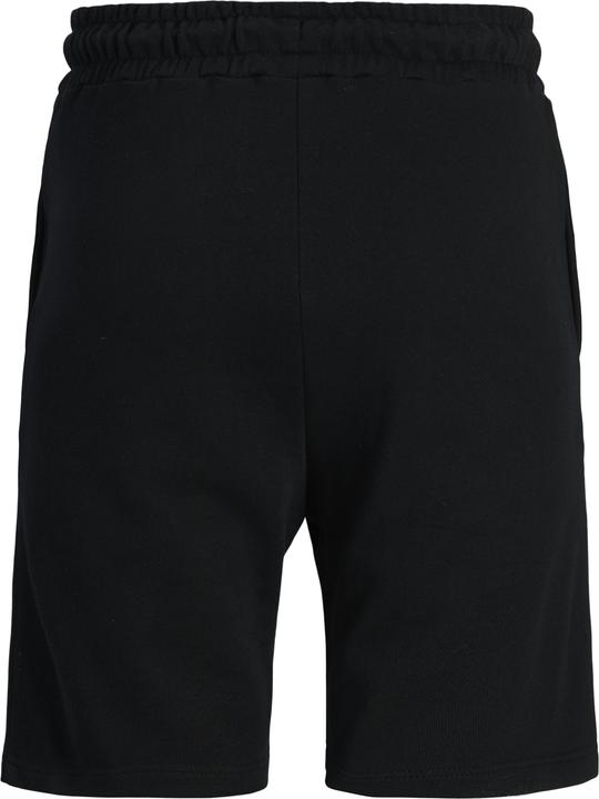 Actual product image Jack & Jones Regular Fit Shorts Shorts (XL)
