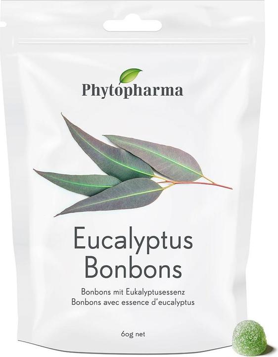 Actual product image Phytopharma Eucalyptus Bonbons (1 pcs., 60 g)