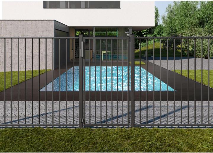Actual product image Locinox Gate hinge and gate closer TIGER (Outdoor)