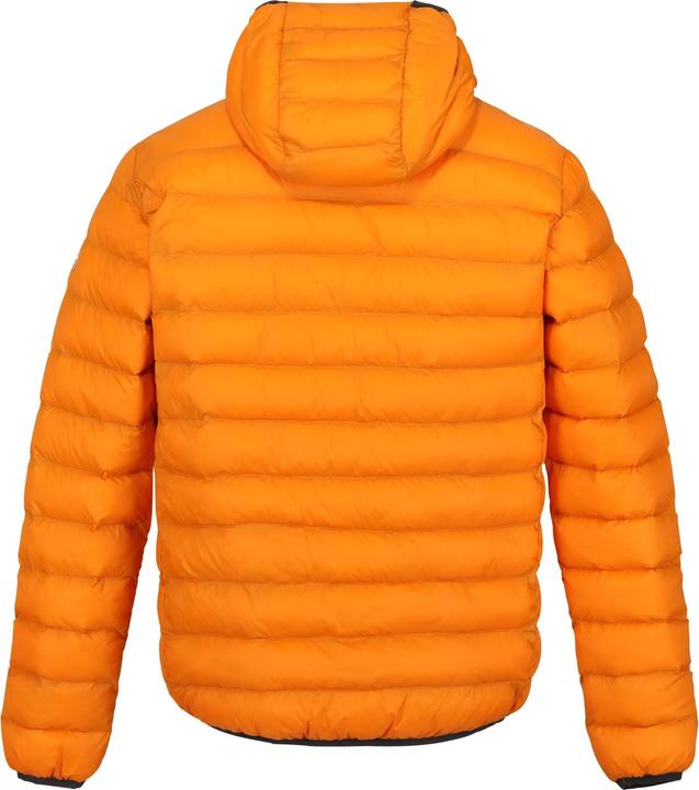 Produktbild Regatta Marizion Steppjacke mit Kapuze (S)