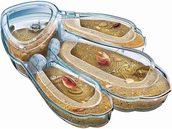 Produktbild Clementoni Triops Maxi de Luxe
