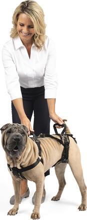 Actual product image PetSafe CareLift™ Support Harness, Medium (Dog, General)