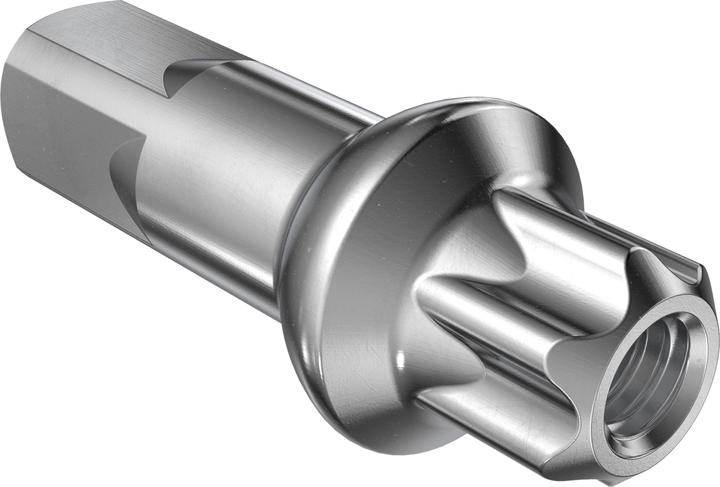 DT Swiss Nippel Squorx Alu PL 2.0/15mm, schwarz, 100 Stk.