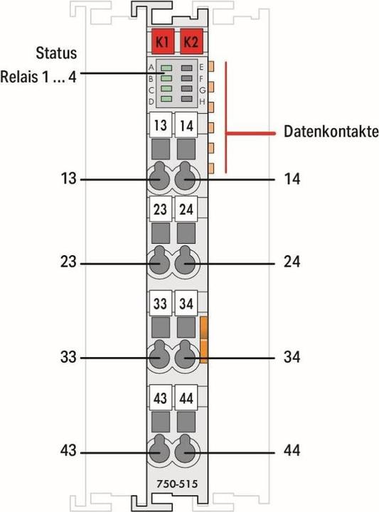 Actual product image Wago 2-channel relay output terminal