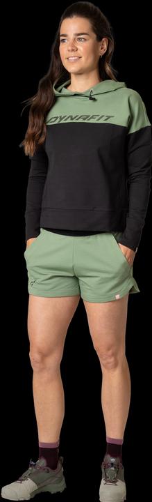 Produktbild Dynafit 24/7 Kapuzenpullover (L)