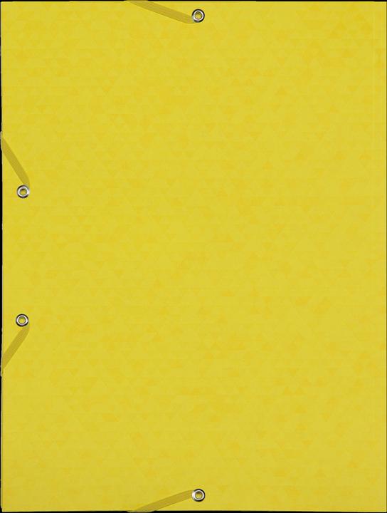 Actual product image Oxford TOP FILE+ corner binder, A4 (A4, 1 x)