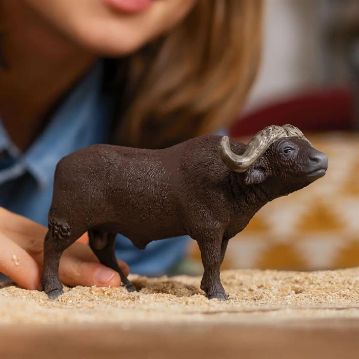 Actual product image Schleich Kaffir Buffalo