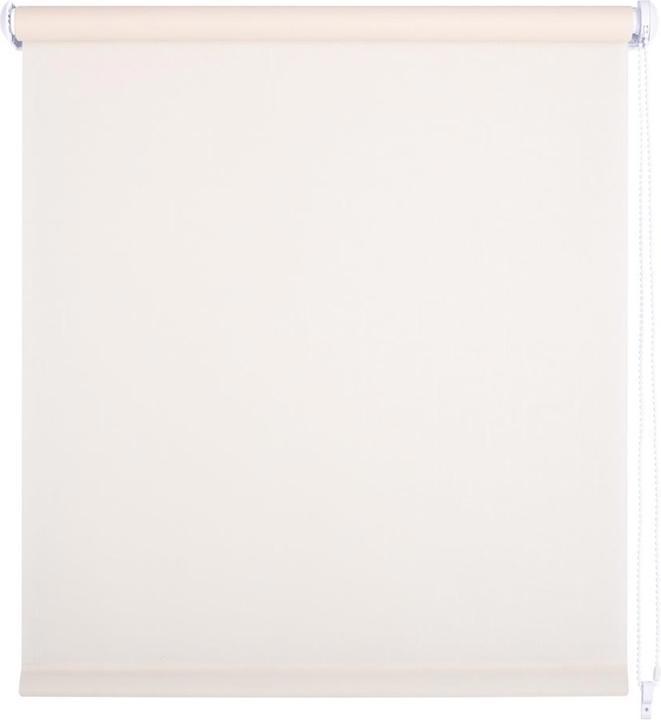 Domoletti ROLLER BLIND SHANTUNG 875 80X170 (45 x 95 cm)