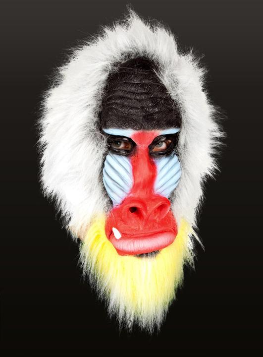 Metamorph Mandrill - Affen Maske Fasching Halloween Kostüm