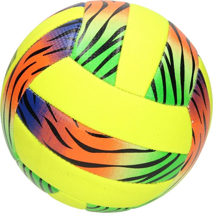 Immagine prodotto Pallavolo, taglia 5