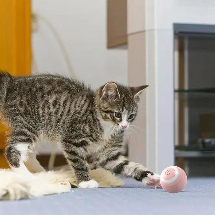 Actual product image Suba Elektrischer Katzenball mit LED Licht (Cat ball toy)