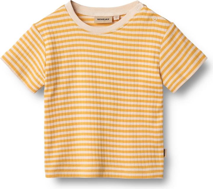 Immagine prodotto Wheat Baby T-Shirt Fabian (68)