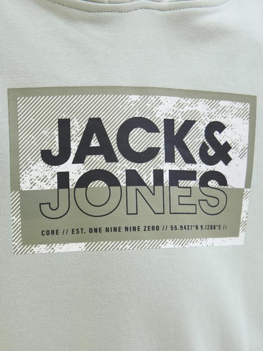 Produktbild Jack & Jones Jcologan Ss24 Print Sweat Hood Sn Jnr (128)