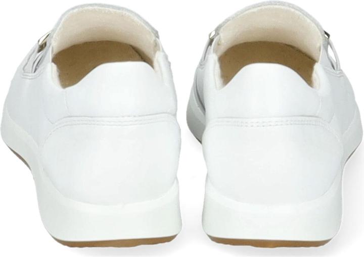 Image du produit Ara Roma - 64291 (37)