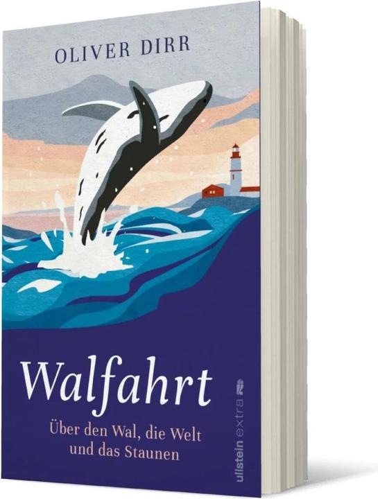 Actual product image Walfahrt (German, Oliver Dirr, 2022)