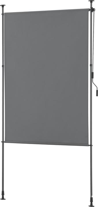 Pro-Tec Cimarra (1.50 m)