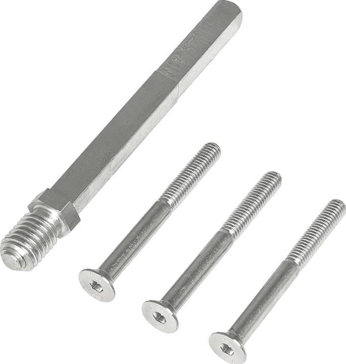 Actual product image Marchesi Interchangeable pin for TS 56-65 | with screws square 8 / 8.5 | galvanised steel (Door set)