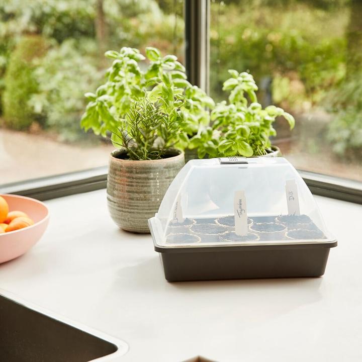 Image du produit Siena Garden couveuse