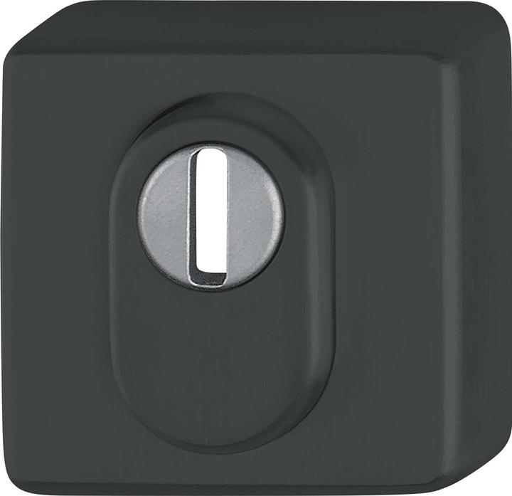 Actual product image Hoppe Cylinder escutcheon outside angular PZ with core pull protection, black matt stainless steel (Door plate set)