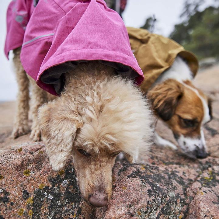 Actual product image Hurtta Monsoon V2 Eco Pink mackintosh, 65 cm (65, Dog raincoat)