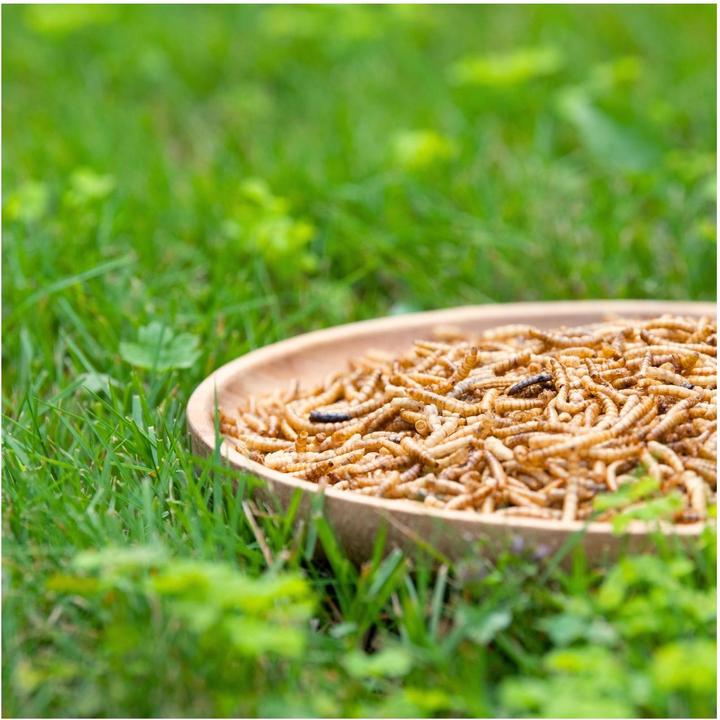 Produktbild Lyra Pet Mehlwürmer getrocknet (1 kg, 1 x)
