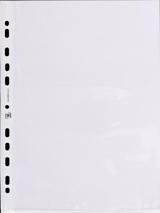 Actual product image Oxford Leaflet pockets, A4 (A4, 1 x)