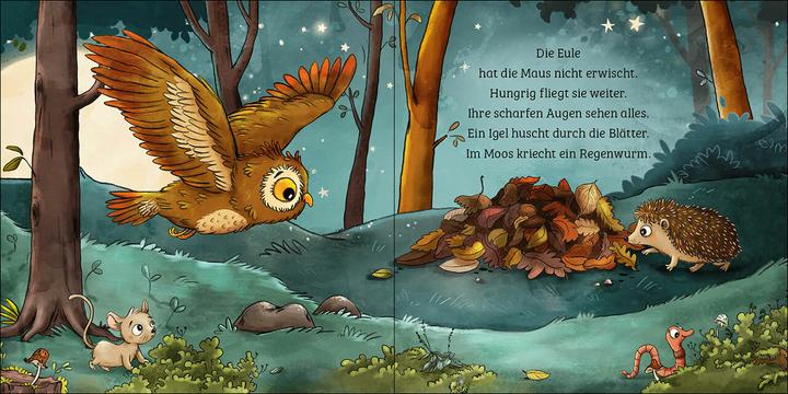 Produktbild Loewe Mein erstes Naturbuch - Die Eule (Deutsch, Sandra Grimm, Loewe Naturkind, Stefanie Reich, 2023)