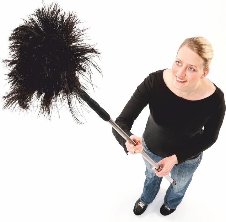 Image du produit Sellmer Plumeau plumes d'autruche (1 pcs)